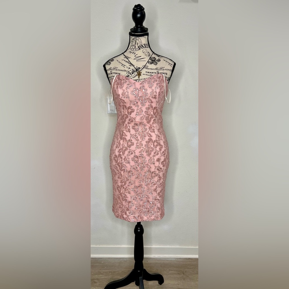 Elegant Pink Lace Dress